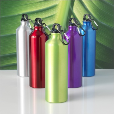 Logo trade corporate gifts image of: Oregon 770 ml aluminium water bottle with carabiner