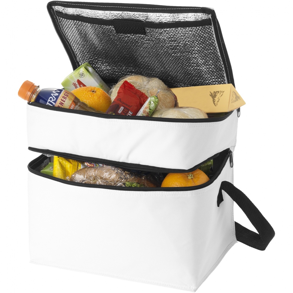 Logotrade promotional item image of: Oslo 2-zippered compartments cooler bag 13L