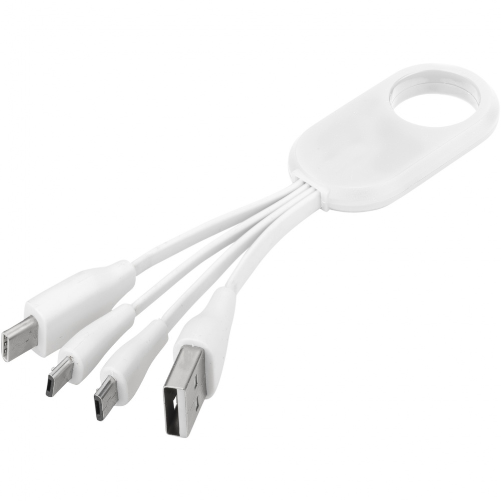 Logo trade promotional products picture of: Troup 4-in-1 charging cable with type-C tip