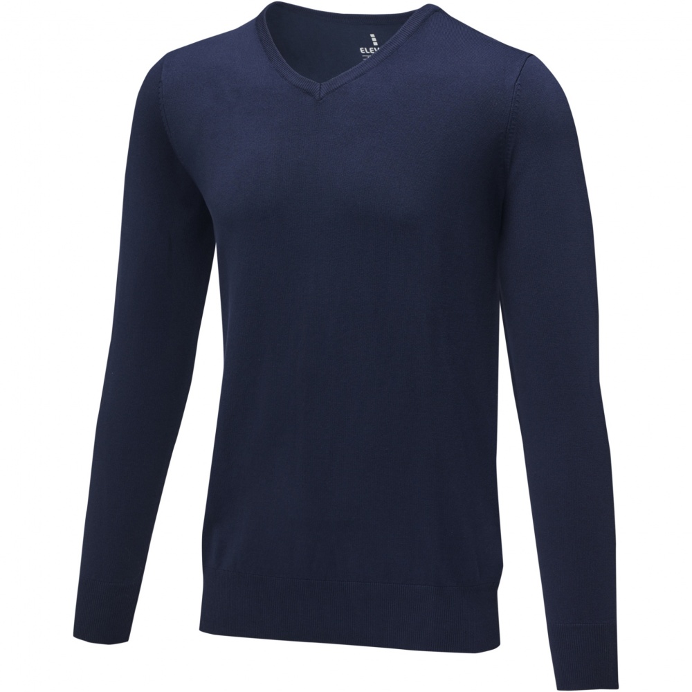 Logo trade promotional merchandise picture of: Stanton men's v-neck pullover
