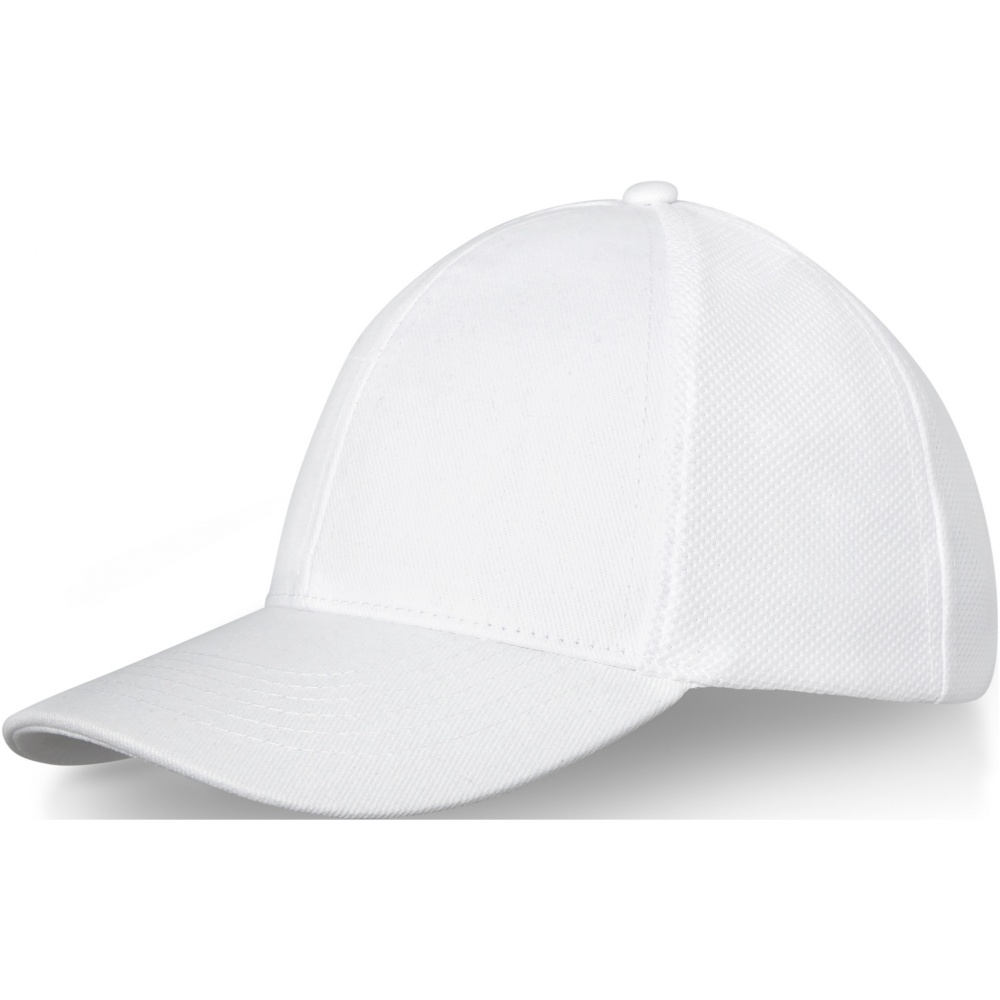 Logo trade promotional merchandise picture of: Drake 6 panel trucker cap