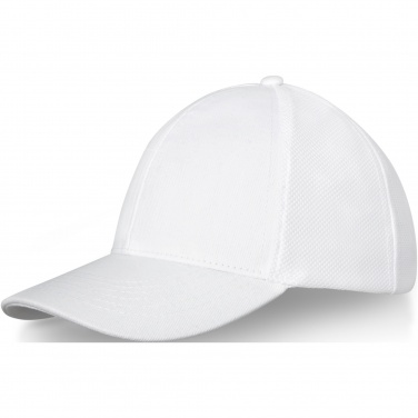 Logo trade promotional giveaways image of: Drake 6 panel trucker cap