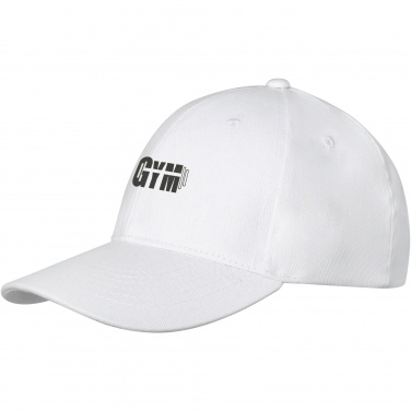 Logotrade business gift image of: Davis 6 panel cap
