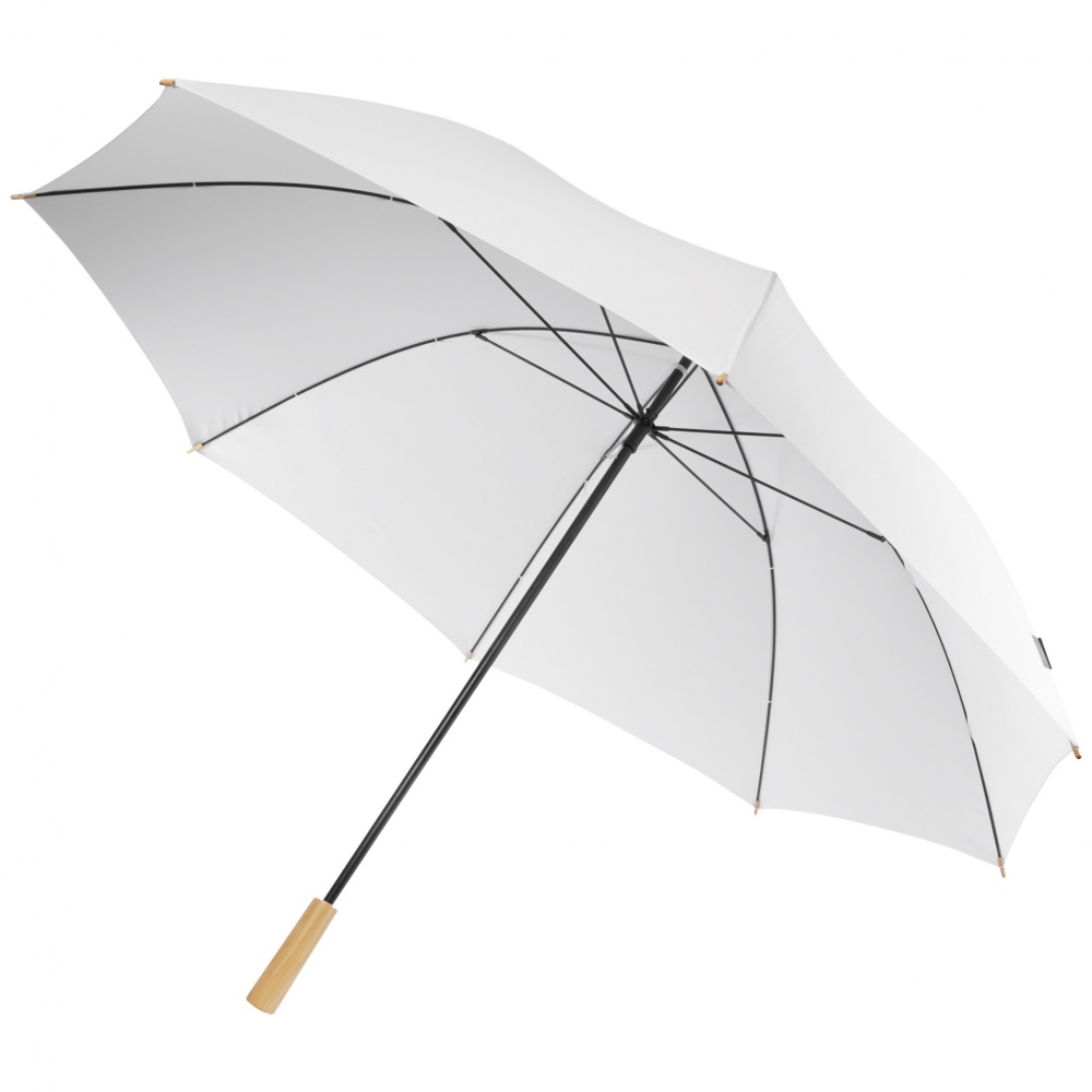 Logotrade promotional merchandise photo of: Romee 30'' windproof recycled PET golf umbrella