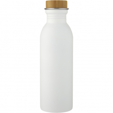 Logotrade corporate gift picture of: Kalix 650 ml stainless steel water bottle