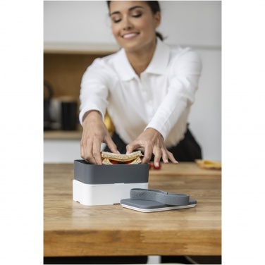 Logotrade corporate gift picture of: MIYO double layer lunch box