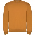 Clasica unisex crewneck sweater, Curry Yellow