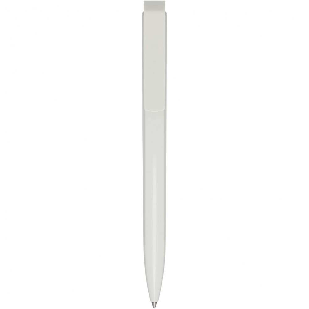 Logotrade promotional merchandise picture of: Lucia recycled plastic ballpoint pen