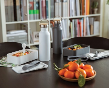 Logotrade promotional giveaways photo of: PP lunchbox with spork