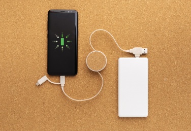 Logotrade promotional giveaway picture of: Cork and Wheat 6-in-1 retractable cable