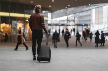 Logo trade promotional items picture of: Bobby backpack trolley