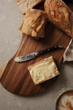 Logotrade advertising product picture of: VINGA Gigaro butter knives