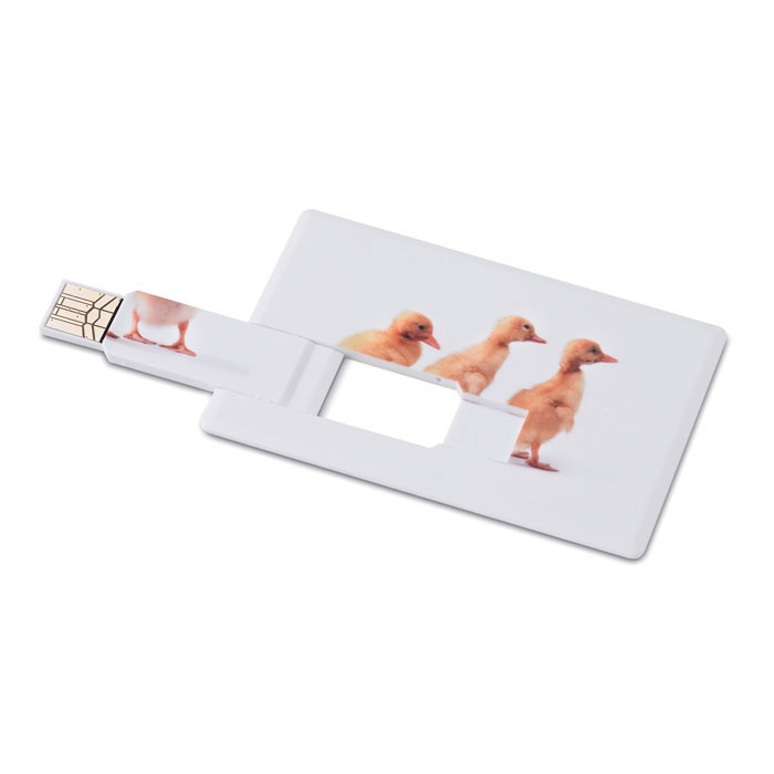Logo trade promotional items picture of: Creditcard. USB flash 32GB