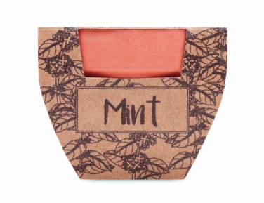 Logotrade corporate gift image of: Terracotta pot mint seeds