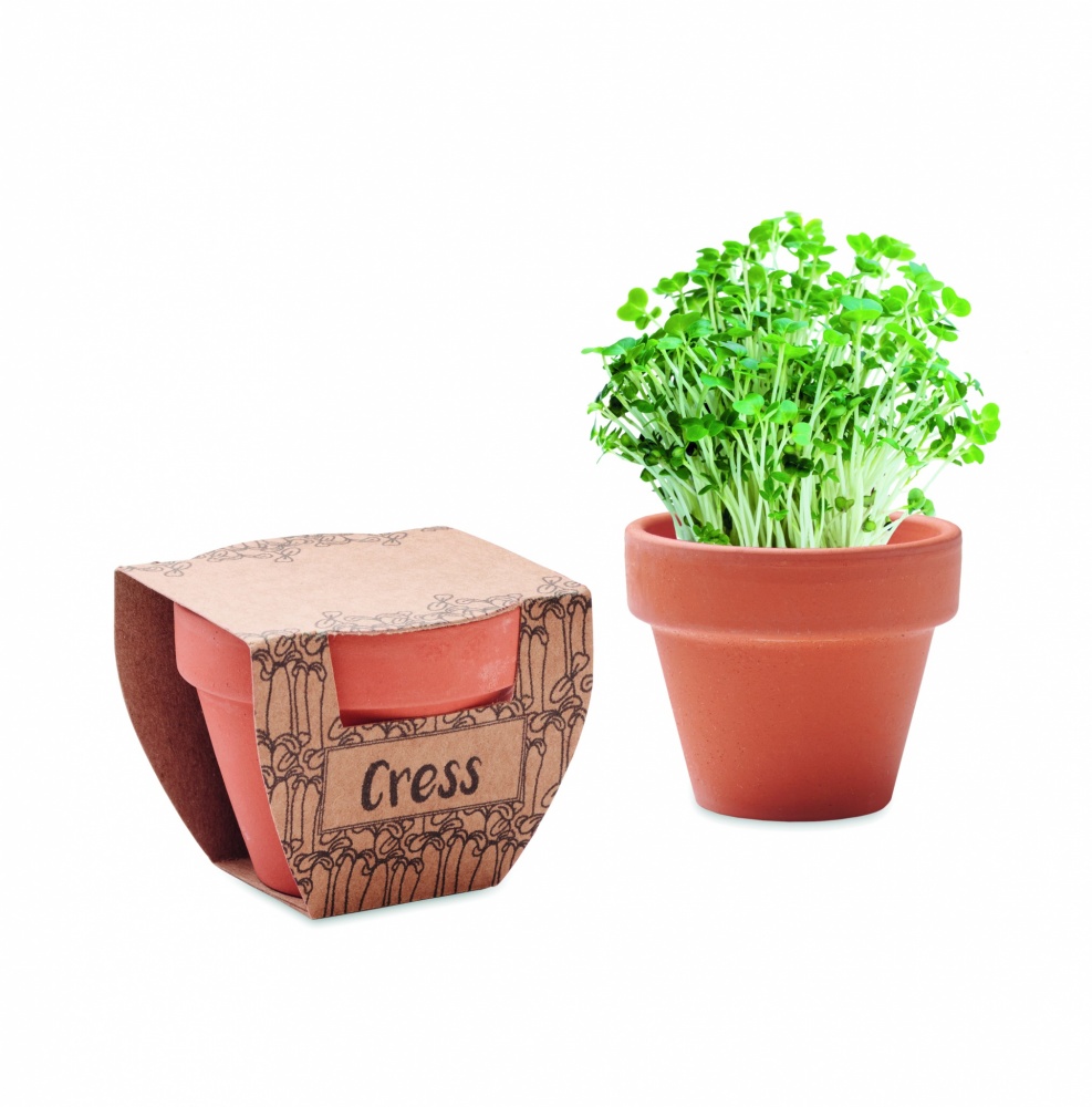 Logo trade promotional gifts image of: Terracotta pot cress seeds