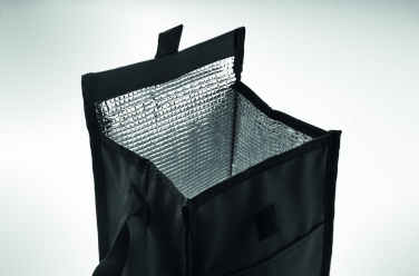 Logo trade promotional merchandise image of: 600D RPET insulated lunch bag
