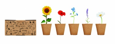 Logotrade promotional gift picture of: Flowers growing kit