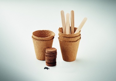 Logotrade corporate gift picture of: Flowers growing kit