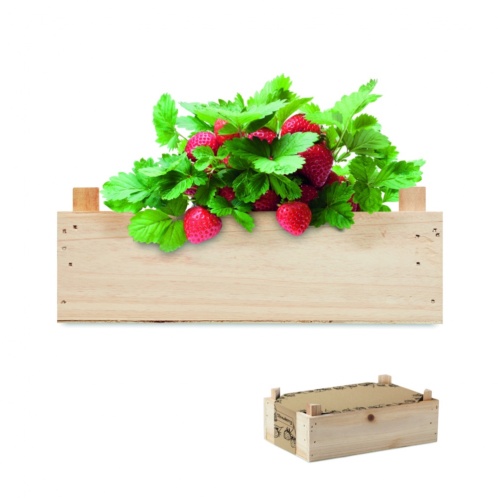 Logotrade promotional product picture of: Strawberry kit in wooden crate