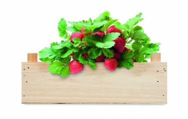 Logotrade advertising product picture of: Strawberry kit in wooden crate