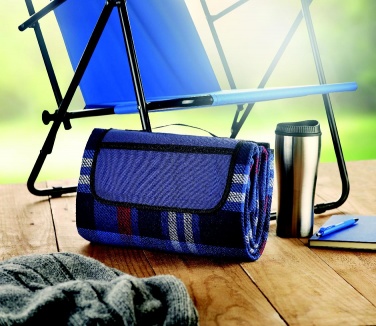 Logotrade promotional giveaway image of: Acrylic picnic blanket