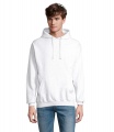 CONDOR Unisex Hooded Sweat, Ash