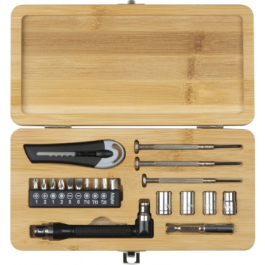 Logotrade promotional gift image of: 22-piece tool set BERINGEN