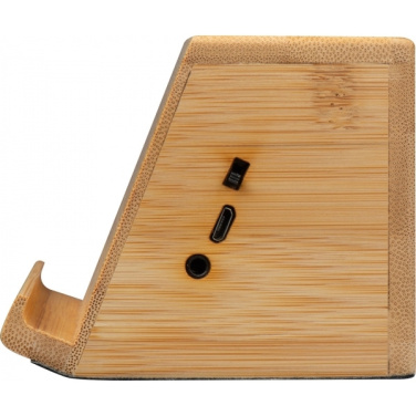 Logo trade promotional item photo of: Induction loudspeaker NUREMBERG