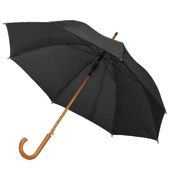 Logotrade promotional giveaways photo of: Automatic Umbrella HASSELT