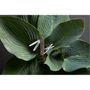 Logo trade promotional merchandise image of: Pocket knife CLASSIC SD Victorinox