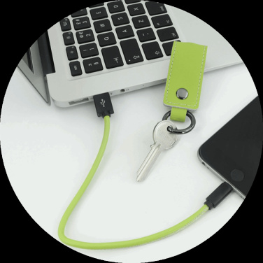 Logotrade business gift image of: Keyring 59612900