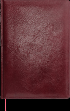 Logo trade promotional merchandise picture of: Calendar 645131