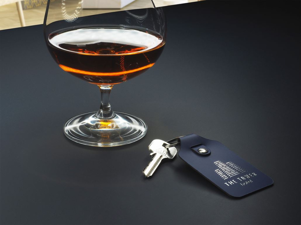 Logo trade business gifts image of: Keyring 1200094