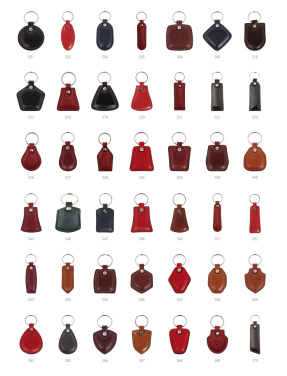 Logo trade promotional items picture of: Keyring 178011