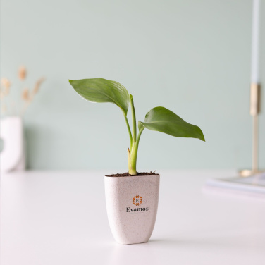 Logo trade promotional product photo of: Treemore Letterbox Trees Bird of Paradise plant