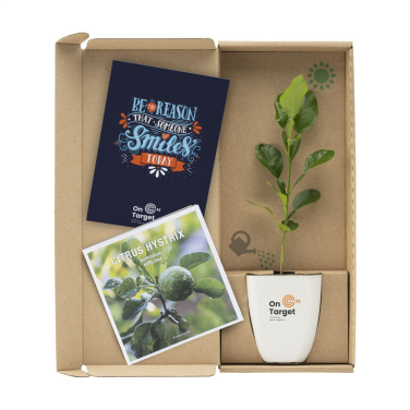 Logo trade promotional gifts image of: Treemore Letterbox Trees Kaffir Lemon