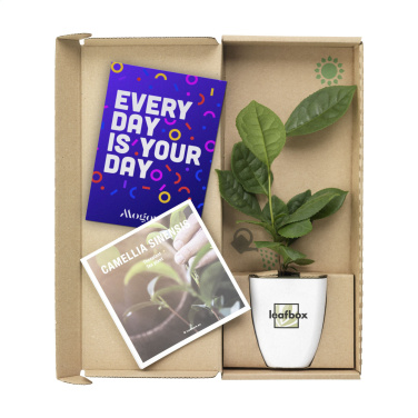 Logotrade corporate gift image of: Treemore Letterbox Trees Tea plant