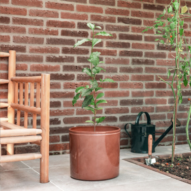 Logo trade business gifts image of: Treemore Letterbox Trees Tea plant