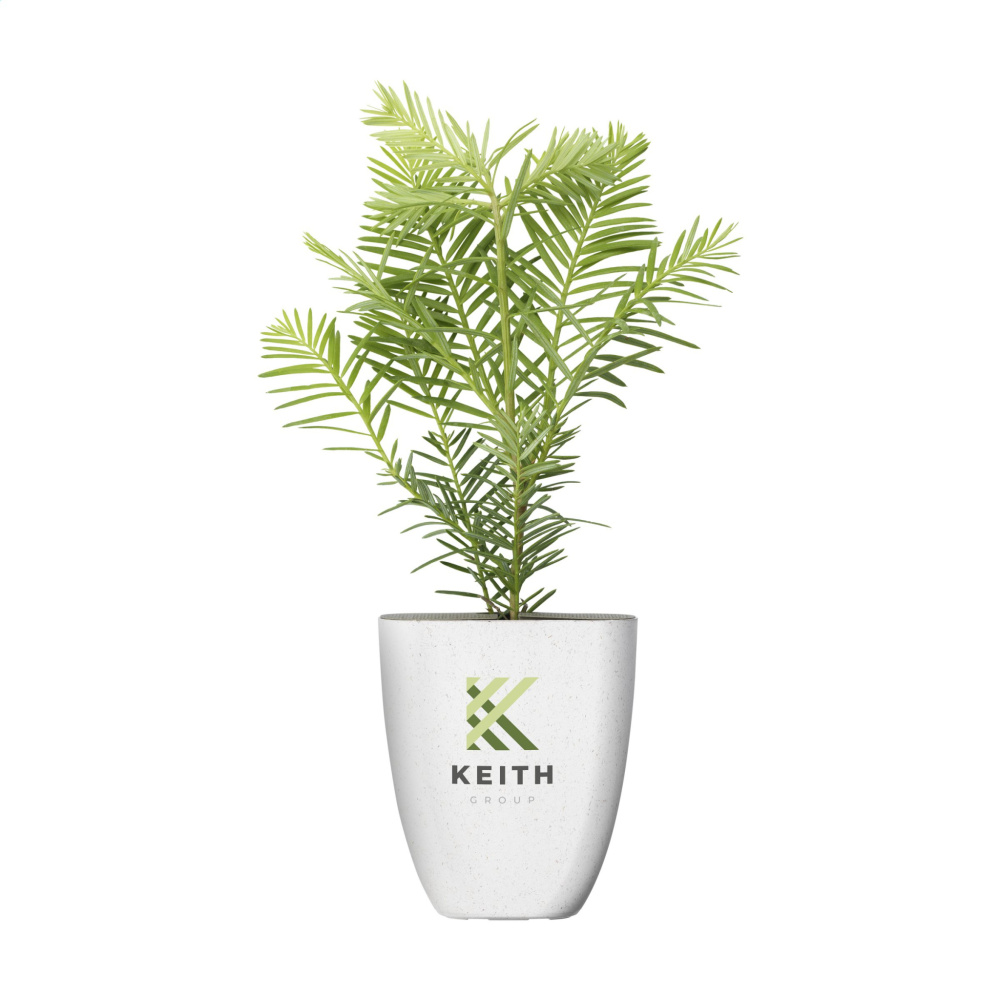 Logotrade advertising product image of: Treemore Letterbox Trees Giant Sequoia