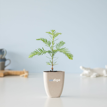 Logotrade corporate gift image of: Treemore Letterbox Trees Giant Sequoia