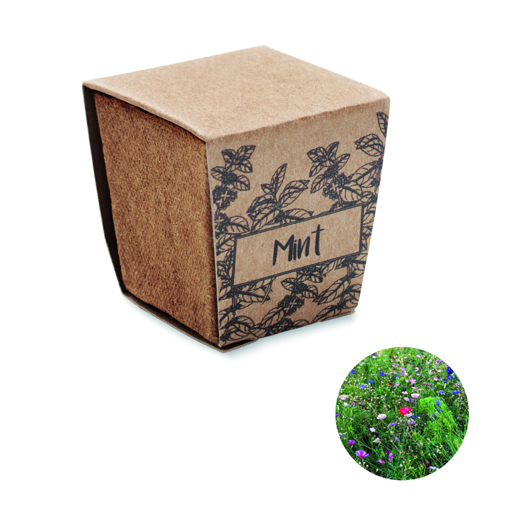 Logotrade promotional giveaway image of: Mint seeds growing kit