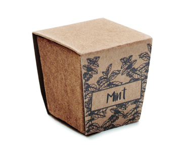 Logotrade promotional product picture of: Mint seeds growing kit