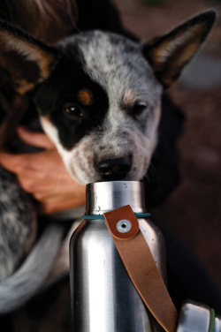Logotrade corporate gifts photo of: Black+Blum Insulated Water Bottle Small 500ml
