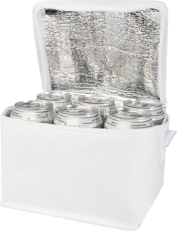 Logo trade promotional merchandise image of: Spectrum 6-can recycled non-woven cooler bag 4L