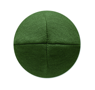 Logo trade promotional gifts image of: Unisex beanie RPET polyester