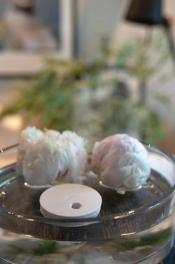 Logotrade promotional item image of: Breevia RCS rplasic re-chargeable floating humidifier