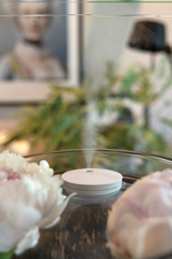 Logo trade promotional gifts image of: Breevia RCS rplasic re-chargeable floating humidifier