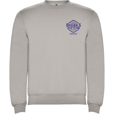 Logotrade promotional merchandise image of: Clasica unisex crewneck sweater