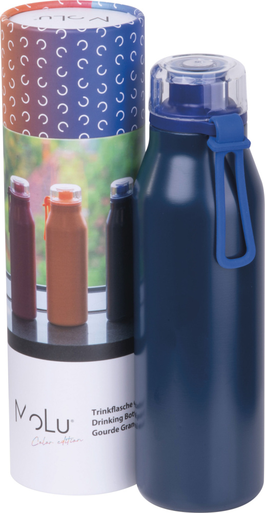 Logotrade promotional giveaway image of: Water bottle Grand Haven MoLu