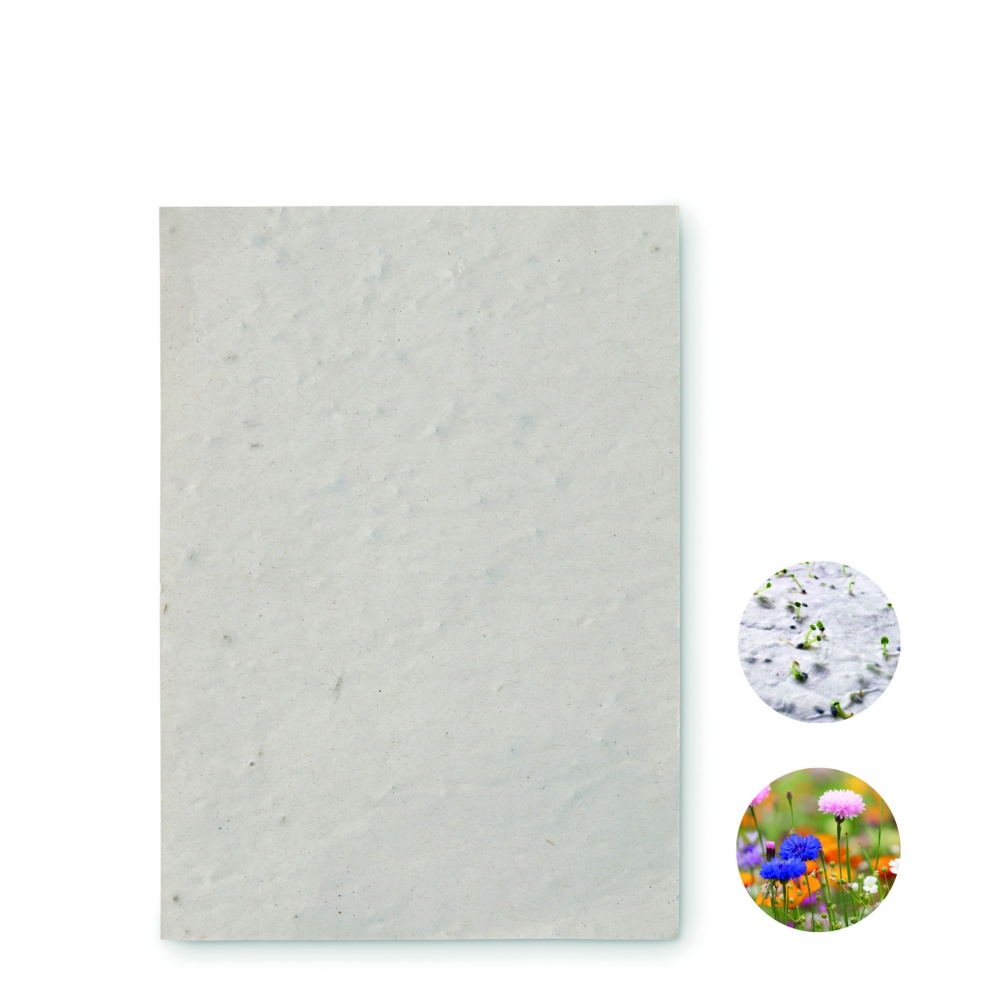 Logo trade meene pilt: A6 metsalilleseemne paberileht